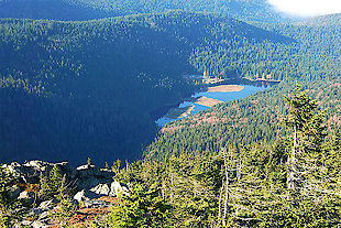 Bayerwaldberge im Bayerischen Wald